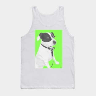 Jack Russell Crossbreed in green Tank Top